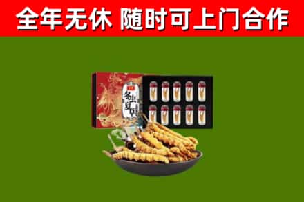 靖远回收冬虫夏草价格